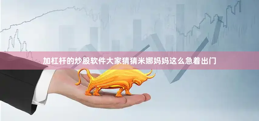 加杠杆的炒股软件大家猜猜米娜妈妈这么急着出门
