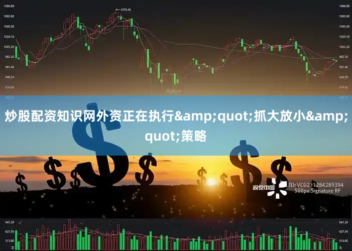 炒股配资知识网外资正在执行&quot;抓大放小&quot;策略