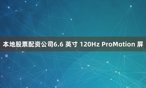本地股票配资公司6.6 英寸 120Hz ProMotion 屏